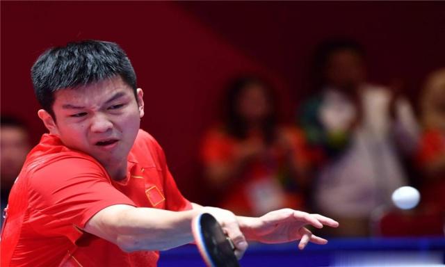 他的坚实后 他的坚实后